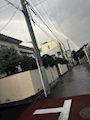 新着ブログ まいです🩵