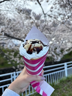 かれん「かれんです」