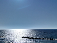 プロフィール写真2・月城るる｜美酒乱・ミシュラン - 広島市（流川）のキャバクラ