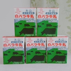 プロフィール写真3・あお｜居酒屋×Snack じゃりんこ錦・ジャリンコ ニシキ - 名古屋 錦のスナック