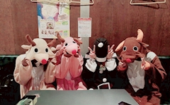 プロフィール写真8・あお|居酒屋×Snack じゃりんこ錦・ジャリンコ ニシキ - 名古屋 錦のスナック