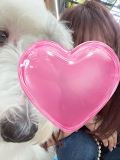 ちなつ North9・ノースナイン - 小倉・堺町のガールズバー