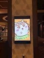 新着ブログ 🐻