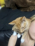 女の子の名前