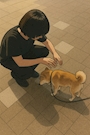 chiko