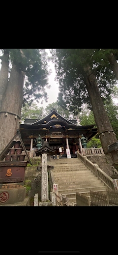 プロフィール写真6・しほ🦄໒꒱·高田馬場SHERYL｜GIRLS BAR SHERYL・シェリル - 高田馬場のガールズバー