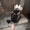 プロフィール写真2・あい|Girls Bar Luca 四谷三丁目店・ルカ - 四谷三丁目のガールズバー