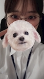 新着ブログ 🤓