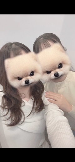 りこ🐈💭花魁Tokyo「髪の毛切るか切らないか…って話✂︎💇‍♀️」