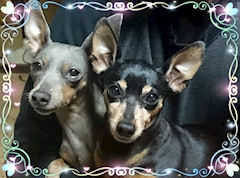 プロフィール写真9・💛💛🌈いろは🌈💛💛｜mrs.J 名駅西・ミセスジェイ メイエキニシ - 名古屋 名駅の熟女パブ/熟女キャバクラ