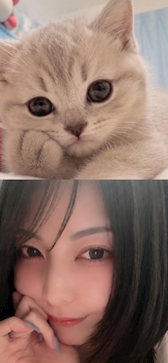 あゆみ
