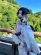 プロフィール写真1・知花 優希|CLUB REO・レオ - 中洲のキャバクラ