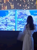 いちか