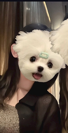 プロフィール写真2・もか|ちとせ会館 - 池袋西口のガールズバー