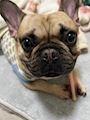 新着ブログ 帰省🏡⋆*