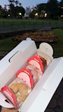 新着ブログ もっちゅりん🍩