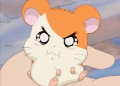 プロフィール写真1・のあ｜クラブ華火－HANABI－・ハナビ - 長野のキャバクラ