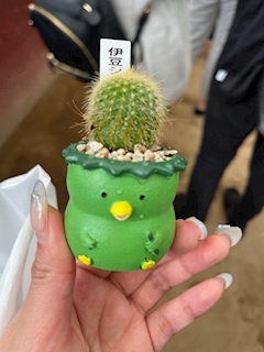 さくら「こんばんは！」