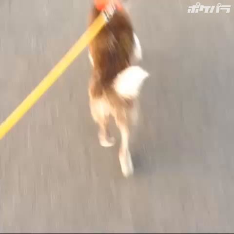 プロフ動画 桜木 都愛