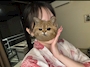 ゆず