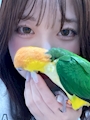 🐥鳥飼 じゅり🐥⸒