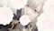 プロフィール写真6・める|Girl's&MixBar Bee・ビー - 北上のガールズバー