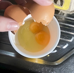 すず‎🩶Tokyo on the Zipangu