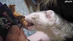 新着ブログ ぶろぐをかこう！
