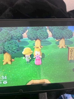 あん