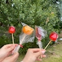 ROSE Hotdog&Rocks GOD - すすきのガールズバー