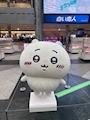 chiko