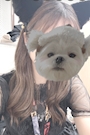 あいか