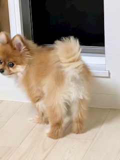 れみママ【Egoist 3 cubic】「今週も楽しみましょうか🕺🕺🕺」