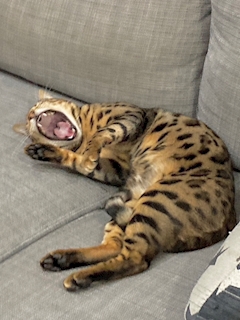 れみママ【Egoist 3 cubic】「はじめての🦷」