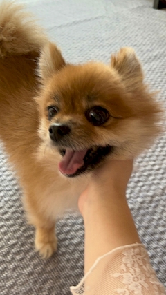 れみママ【Egoist 3 cubic】「ちいさい元気な女の子🐶」