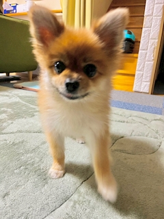 れみママ【Egoist 3 cubic】「2024年ラスト営業💝」