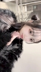 プロフィール写真2・みる｜elephant cafe・エレファントカフェ - すすきののガールズバー