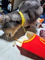 新着ブログ こんばんわ🌙