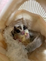 新着ブログ 休み明け