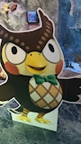 chiko