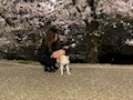 ピックアップキャスト さよ 港区 ガールズバー・マシン