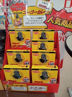 志乃
