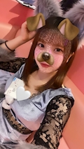 ぬい🐺オオカミちゃんカフェ天満店🐺