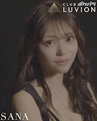 湊　咲成のプロフ動画