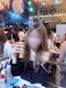 プロフィール写真1・ゆめ|GIRL'S BAR NYX・ニクス - 蒲田西口のガールズバー