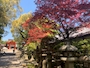 新着ブログ 石清水八幡宮⛩️🥹
