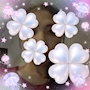 新着ブログ 💞出勤💞