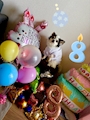 chiko