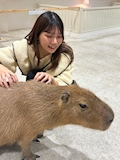 すい　本八幡Fortuna