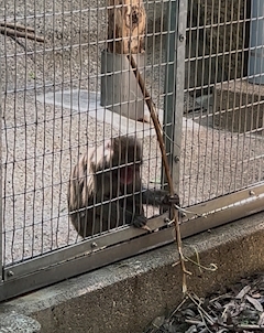 ゆな